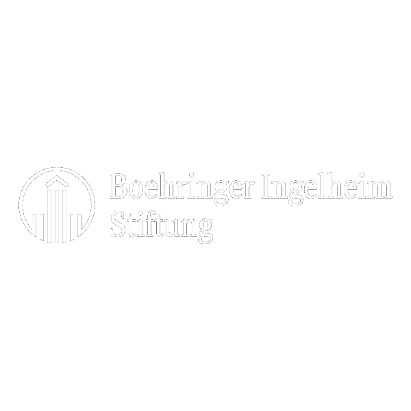 BI Stiftung